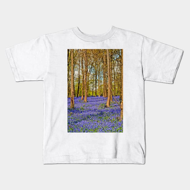 Bluebell Woods Greys Court Oxfordshire England Kids T-Shirt by AndyEvansPhotos